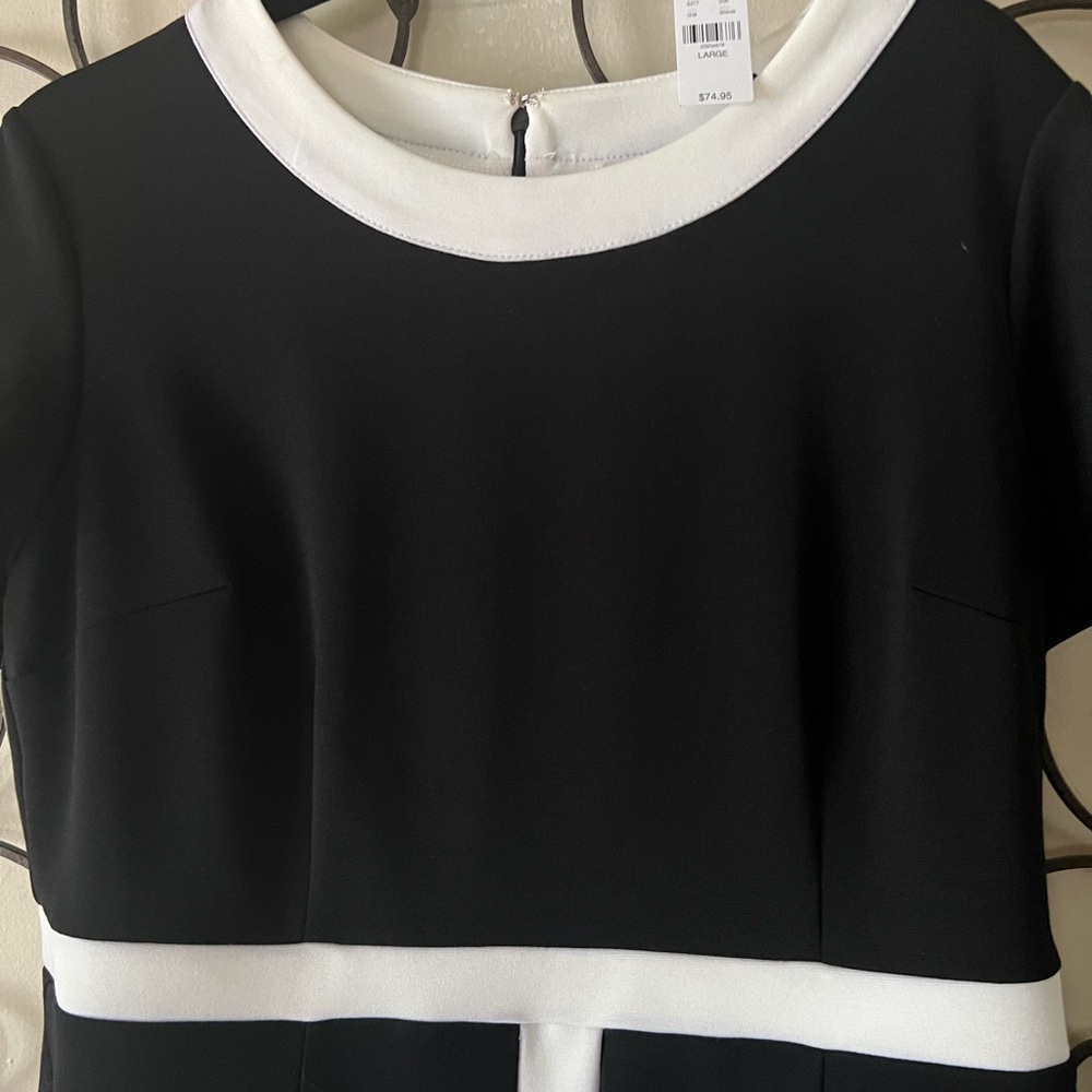 ColorBlock Trim New York and Company Dress.